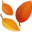 🍂