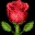 🌹