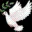 🕊️