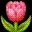 🌷