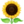 🌻